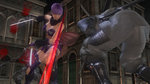 Images de Ninja Gaiden Sigma 2 - Images