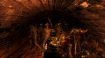 <a href=news_e3_demon_s_souls_images-7946_en.html>E3: Demon's Souls images</a> - 10 images