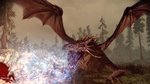 <a href=news_dragon_age_s_enflamme-8064_fr.html>Dragon Age s'enflamme</a> - 14 images