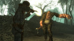 Fallout 3 fait le Point en images - DLC Point Lookout : 6 images