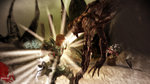 <a href=news_dragon_age_origins_s_illustre-8219_fr.html>Dragon Age: Origins s'illustre</a> - 8 images