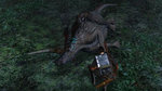 <a href=news_quelques_nouvelles_images_de_dinosaur_hunting-170_en.html>Quelques nouvelles images de Dinosaur Hunting</a> - 5 nouvelles images