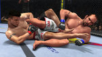 UFC 2010 Undisputed frappe fort - Nouvelles images