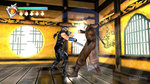 <a href=news_un_tonne_de_nouvelles_images_de_ninja_gaiden-204_fr.html>Un tonne de nouvelles images de Ninja Gaiden</a> - 53 images c&VG