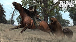 RDR: Chasse et vie sauvage - Wildlife and Hunting
