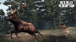 RDR: Wildlife and Hunting - Wildlife and Hunting