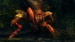 <a href=news_new_images_of_the_witcher_2-9366_en.html>New images of The Witcher 2</a> - 10 images