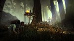 <a href=news_new_images_of_the_witcher_2-9366_en.html>New images of The Witcher 2</a> - 10 images