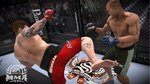 E3: Some images and a Trailer for MMA - E3 Screenshots