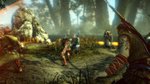E3: The Witcher 2 screens - 10 images