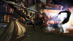 Nouveau contenu pour Dragon Age Origins - 3 images