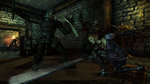 New DLC for Dragon Age Origins - 3 images