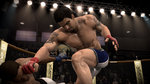 EA Sports MMA: Career Mode - Career Mode