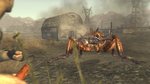 <a href=news_nouvelles_images_de_fallout_nv-9741_fr.html>Nouvelles images de Fallout NV</a> - 4 images