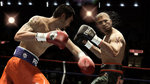 <a href=news_fight_night_champion_warms_up-10193_en.html>Fight Night Champion warms up</a> - 5 images