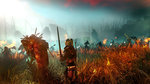 <a href=news_new_screens_of_the_witcher_2-10242_en.html>New screens of The Witcher 2</a> - 9 images