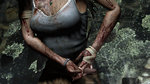 Images de Tomb Raider - 7 images