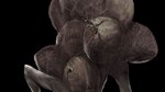 Images et trailer de Dark Souls - Artworks