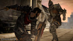 Dragon Age 2 en images - 6 images