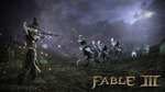 Fable 3: next DLC & PC screens - PC Screens
