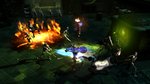 Dungeon Siege 3: co-op screens - co-op screens