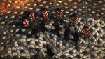 <a href=news_new_screens_of_the_witcher_2-10846_en.html>New screens of The Witcher 2</a> - 10 images