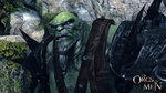 <a href=news_of_orcs_and_men_unveiled-10997_en.html>Of Orcs And Men unveiled</a> - First images
