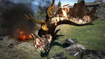 Dragon's Dogma: Griffin Screens - Images