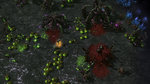 StarCraft Heart of the Swarm unveiled - Gallery