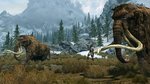 Skyrim gets two screens - 2 images