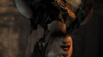 <a href=news_e3_images_de_tomb_raider-11244_fr.html>E3: Images de Tomb Raider</a> - 18 images