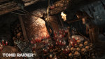 <a href=news_e3_tomb_raider_screens-11244_en.html>E3: Tomb Raider screens</a> - 18 screens