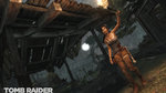 <a href=news_e3_images_de_tomb_raider-11244_fr.html>E3: Images de Tomb Raider</a> - 18 images