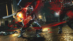 E3: Ninja Gaiden 3 videos and screens - 18 screens
