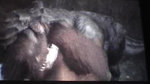 GC05: Présentation de King Kong - Galerie d'une vidéo