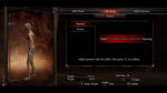 Dragon's Dogma shows pawn system - Player Customization Screens
