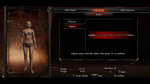 Dragon's Dogma shows pawn system - Player Customization Screens
