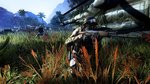 Sniper Ghost Warrior 2 en images - Images