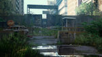 <a href=news_the_last_of_us_new_screenshots-12535_en.html>The Last of Us new screenshots</a> - Concept Art