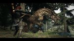 Dragon's Dogma new trailer - 12 screens