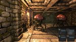 <a href=news_legend_of_grimrock_is_on_its_way-12671_en.html>Legend of Grimrock is on its way</a> - 6 screenshots