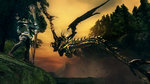 Dark Souls PC s'illustre - Images PC
