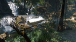 <a href=news_new_screens_of_sniper_ghost_warrior_2-12784_en.html>New screens of Sniper Ghost Warrior 2</a> - 26 screenshots