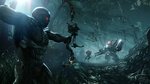 <a href=news_crysis_3_new_screenshots-12828_en.html>Crysis 3 new screenshots</a> - 8 screens