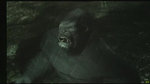 X05: Trailer 360 de King Kong - Galerie d'une vidéo