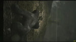 X05: Trailer 360 de King Kong - Galerie d'une vidéo