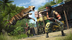 GC : Des images pour Far Cry 3  - 16 images