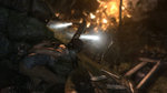 GC: Tomb Raider images - Resized images
