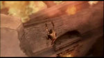 Trailer de Prince of Persia: Les Deux Trônes - Galerie d'une vidéo