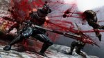 <a href=news_tgs_trailer_of_ninja_gaiden_3_re-13355_en.html>TGS: Trailer of Ninja Gaiden 3 RE</a> - Gallery